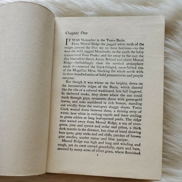 ARIZONA AMES - by ZANE GREY, 1932, HC - Picture 8 of 10